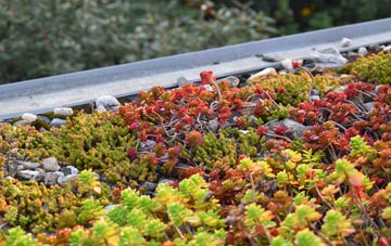 the cost of West Hythe green roof installation