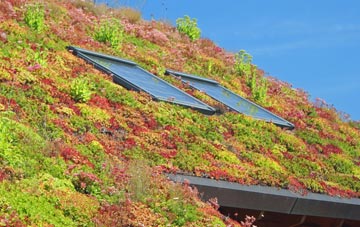 West Hythe living roof systems